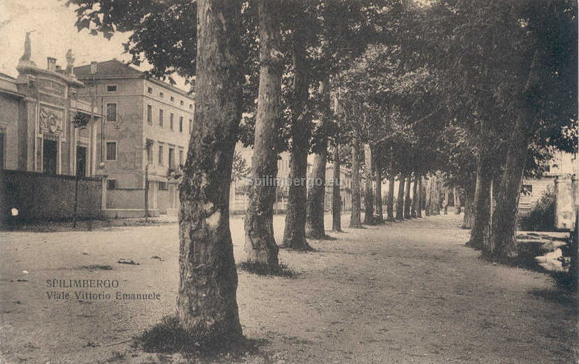 Viale Barbacane, all'epoca di questa cartolina viale Vittorio Emanuele (1917)
